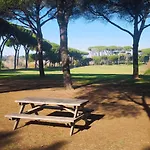 Vatican Hills *